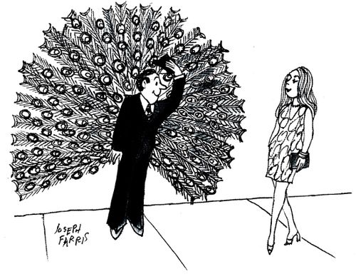 Man Trying to Attract a Mate With Peacock Feathers.