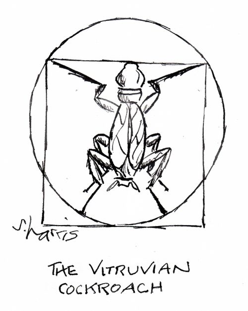 The Vitruvian Cockroach