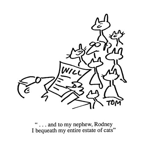 'And to my nephew, Rodney, I bequeath my entire estate of cats.'
