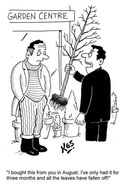 'I bought this from you in August. I've only had it for three months and all the leaves have fallen off!'