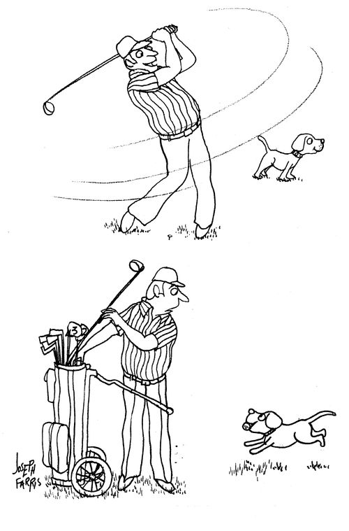 Dog Fetching Golf Balls.