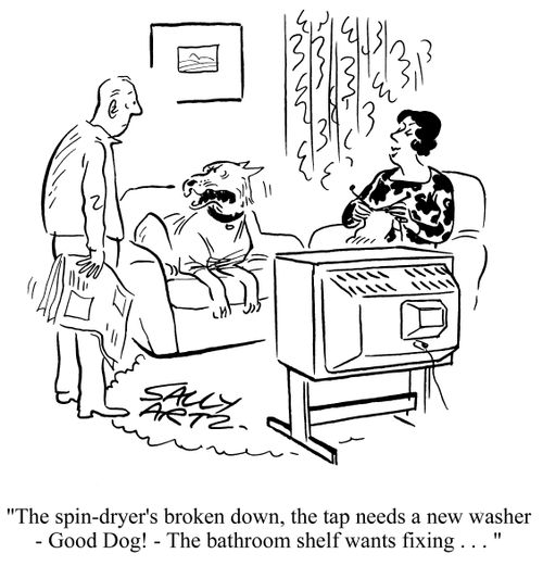 'The spin-dryer's broken down, the tap needs a new washer - Good Dog! - The bathroom shelf wants fixing. . .'