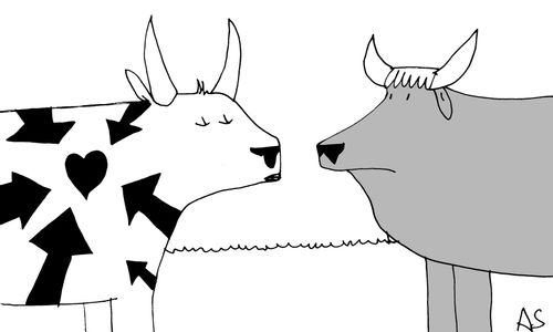 'Cow in love'