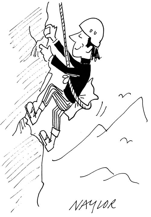 Mountain Climber With Pillow Padding.