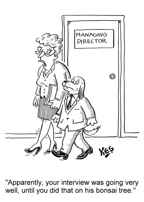 'Apparently, your interview was going very well, until you did that on his bonsai tree.'