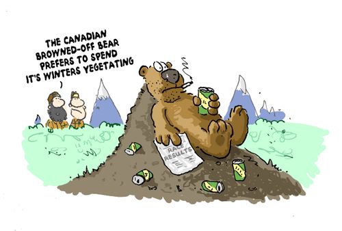'The Canadian browned off bear prefers to spend its winters vegetating.'