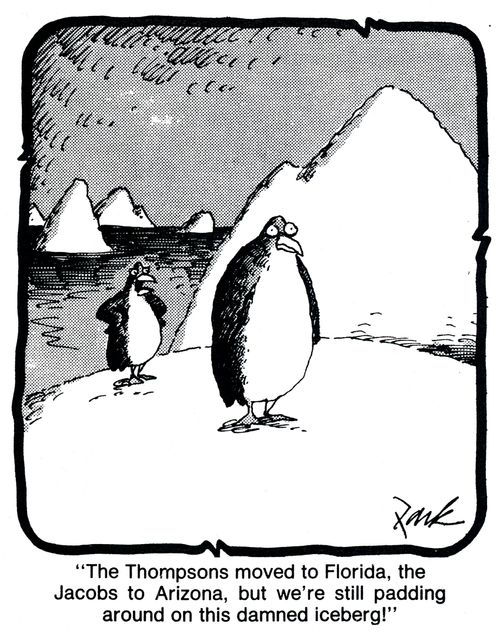 'The Thompsons moved to Florida, the Jacobs to Arizona, but we're still padding around on this damned iceberg!'