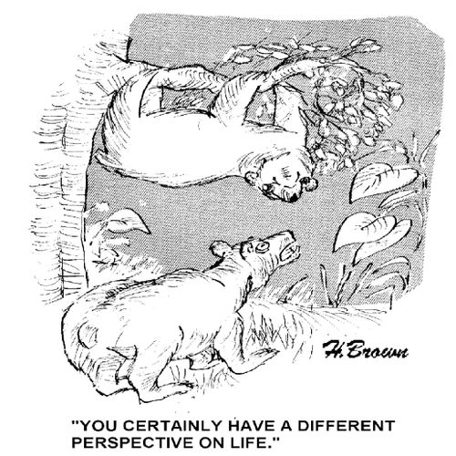 'You certainly have a different perspective on life.'