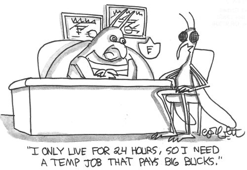 "I only live for 24 hours, so I need a temp job that pays big bugs."