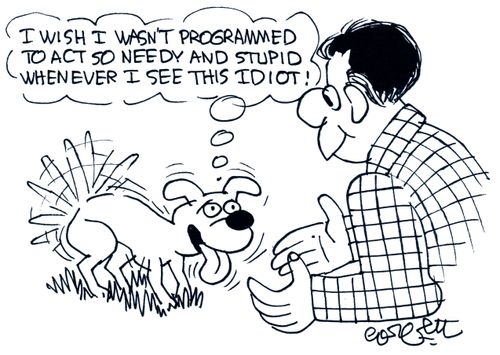 'I wish I wasn't programmed to act so needy and stupid whenever I see this idiot!'