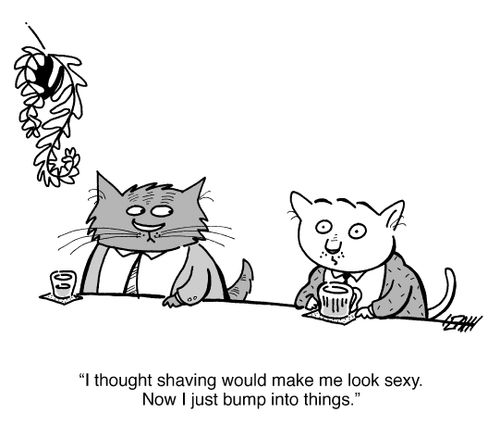 'I thought shaving would make me look sexy. Now I just bump into things.'