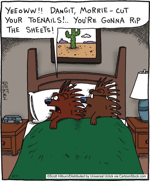 'Yeeoww Dangit, Morrie - cut your toenails,, You're gonna rip the sheets'