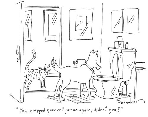 'You dropped your cell phone again, didn't you?'