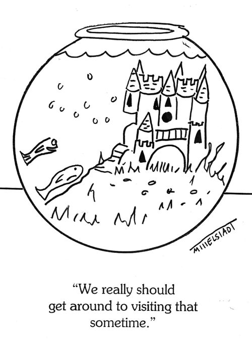 'We really should get around to visiting that sometime.'