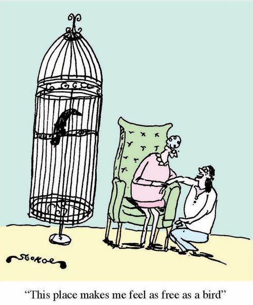'This place makes me feel as free as a bird'