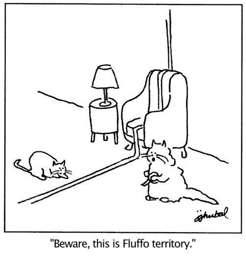 'Beware, this is Fluffo territory.'