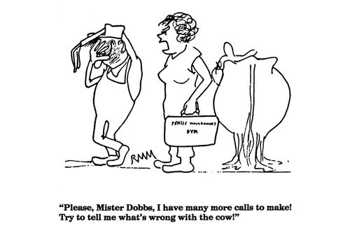'Please, Mister Dobbs, I have many more calls to make! Try to tel me what's wrong with the cow."