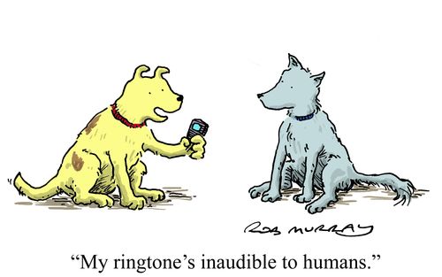 'My ring-tone's inaudible to humans.'