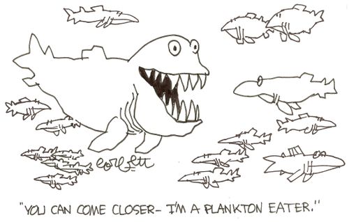 'You can come closer - I'm a plankton eater.'