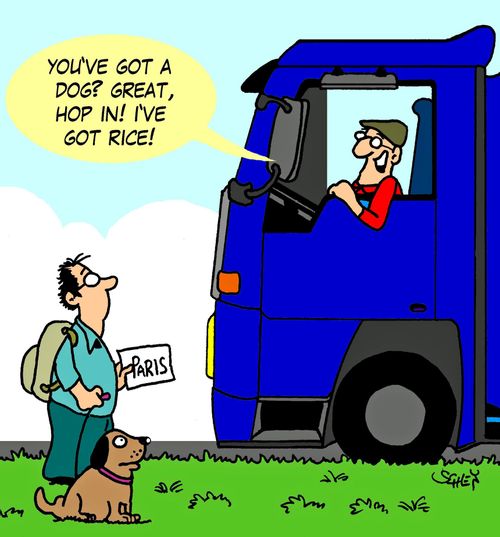 'You've got a dog? Great, hop in! I've got rice!'