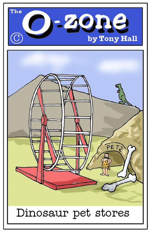 Dinosaur Pet Stores