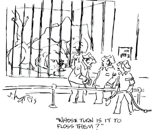 'Whose turn is it to floss them?'