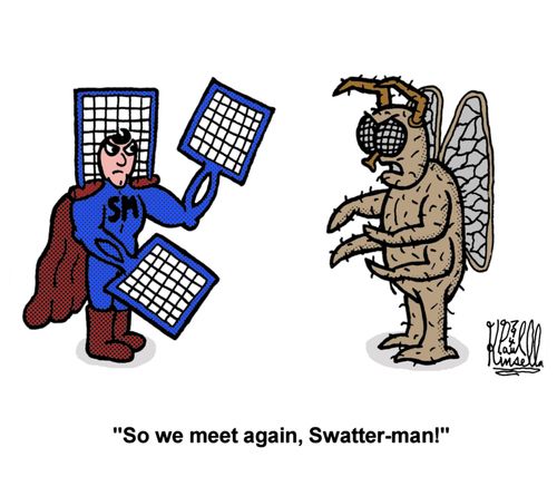 'So we meet again, Swatter-man!'