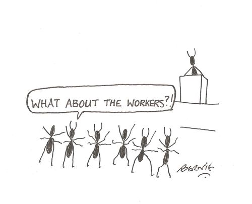 'What about the workers?!'