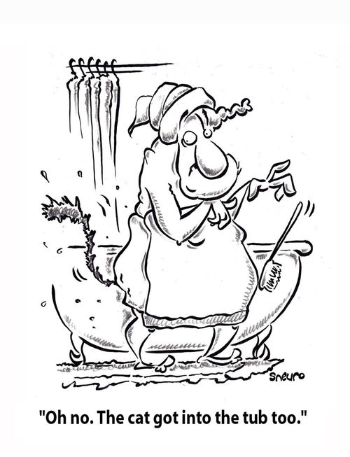 'Oh no. The cat got into the tub too.'