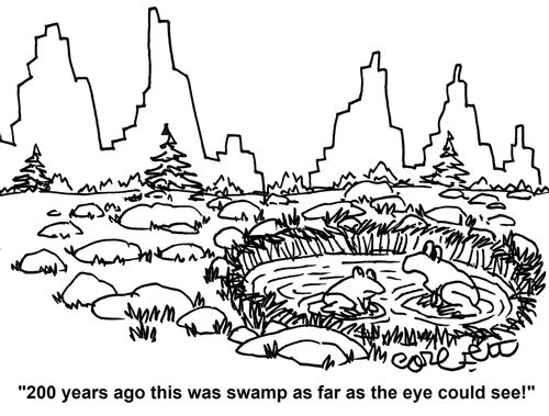 '200 years ago this was swamp as far as the eye could see!'