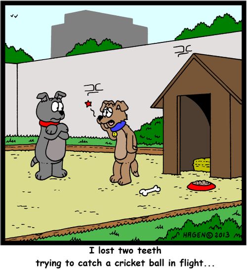 'I lost two teeth trying to catch a cricket ball in flight...'