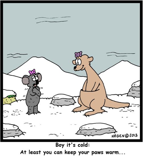 'Boy it's cold: At least you can keep your paws warm...'