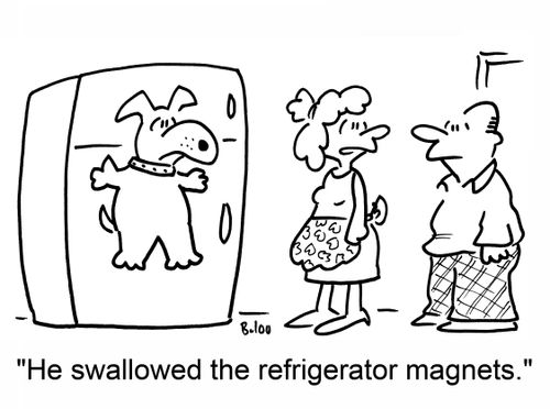 'He swallowed the refrigerator magnets.'