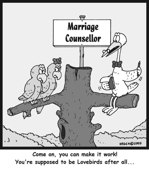 'Come on, you can make it work! You're supposed to be Lovebirds after all...'
