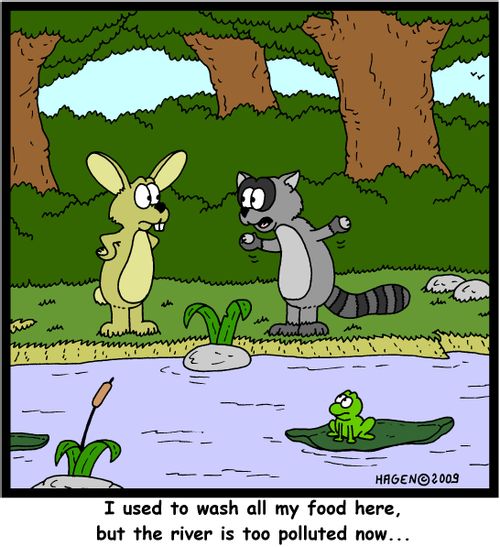 'I used to wash all my food here, but the river is too polluted now...'