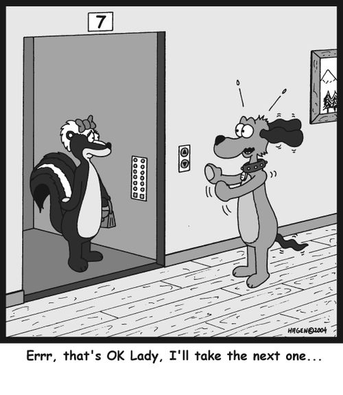 'Errr, that's OK Lady, I'll take the next one...'