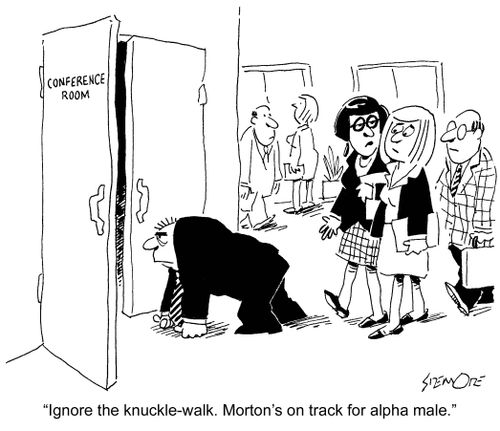 'Ignore the knuckle-walk. Morton's on track for alpha male.'