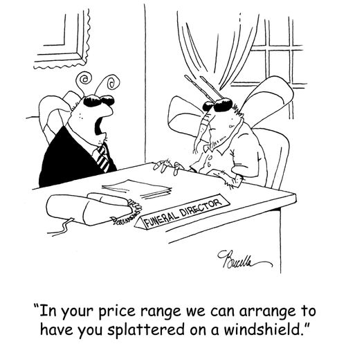 'In your price range we can arrange to have you splattered on a windshield.'