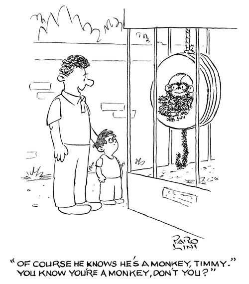 'Of course he knows he's a monkey, Timmy. You know you're a monkey, don't you?'