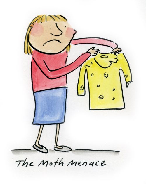 The Moth Menace.