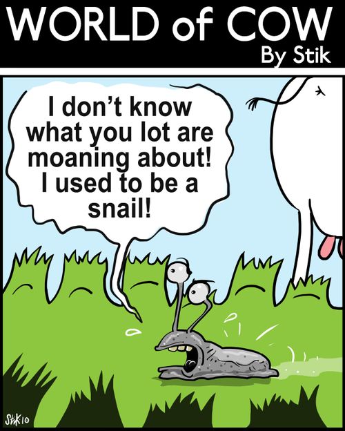 I don't know what you are moaning about! I used to be a snail!