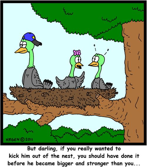 'But darling, if you really wanted to kick him out of the nest, you should have done it before he became bigger and stronger than you...'