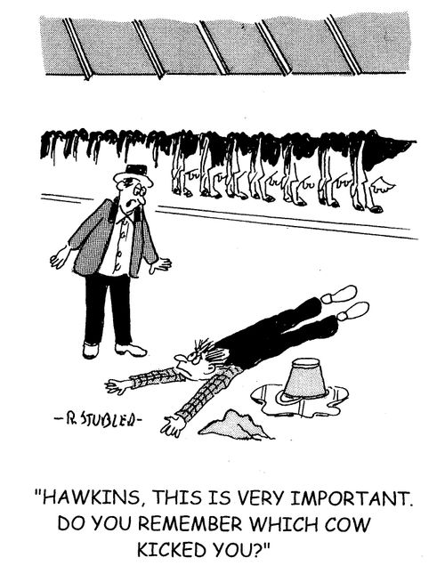 'Hawkins, this is very important. Do you remember which cow kicked you?'