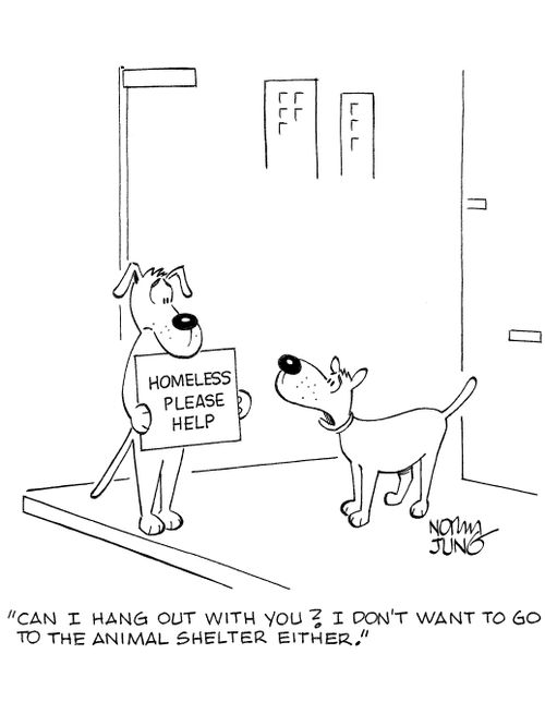 'Can I hang out with you? I don't want to go to the animal shelter either.'