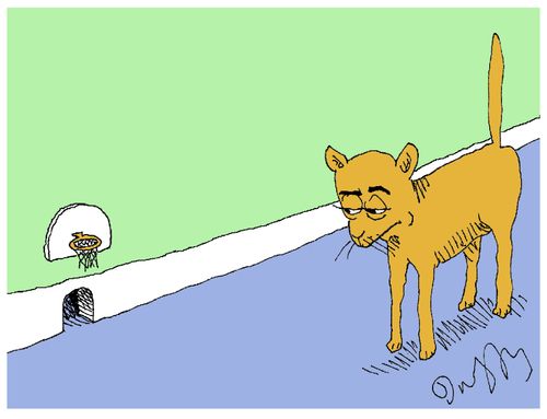 Cat and Mouse's basketball hoop.
