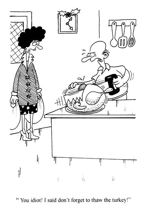 'You idiot! I said don't forget to thaw the turkey!'