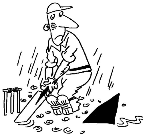 shark on cricket crease