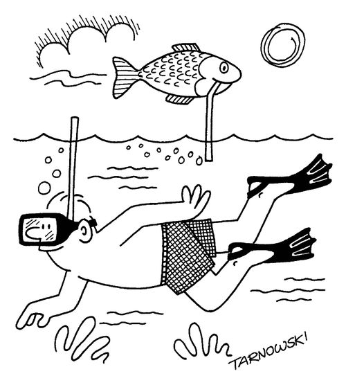Fish snorkling above water.