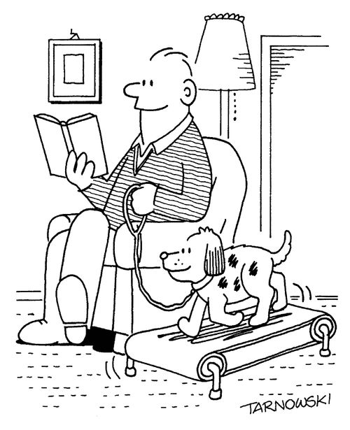Walking a dog on a treadmill.