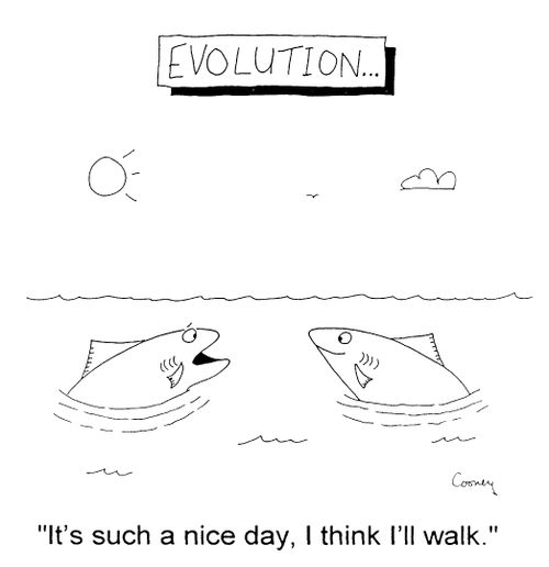 Evolution "it's such a nice day, I think I'll walk"